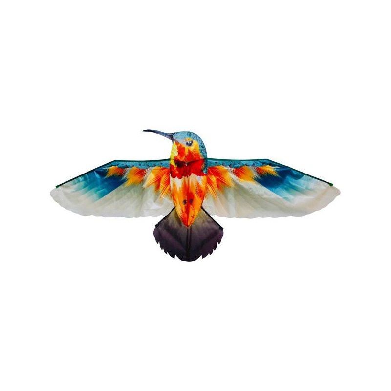 Latawiec Koliber