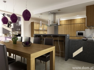 Funkcjonalne i przestronne wnętrze, na które składa się dwupoziomowy salon z kominkiem, jadalnia i kuchnia oraz galeria na piętrze, połączone w jedną przestrzeń, zapewniającą odpowiednie poczucie komfortu 4-6 osobowej rodzinie
