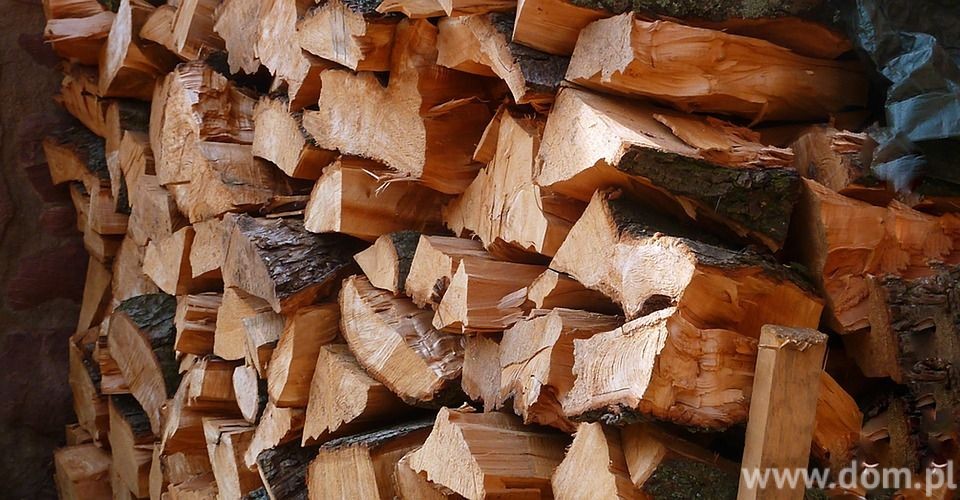Marzec to najlepszy czas na zakup drewna opałowego. fot. Pixabay